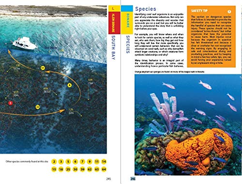 Reef Smart Guides Bonaire: Scuba Dive. Snorkel. Surf. (Best Netherlands' Bonaire Diving Spots, Scuba Diving Travel Guide),Used