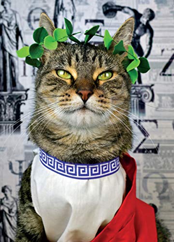A Cat'S Tale: A Journey Through Feline History