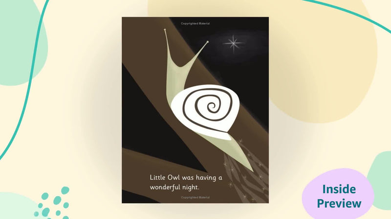 Little Owl's Night,Used