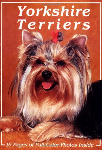 Yorkshire Terriers,Used