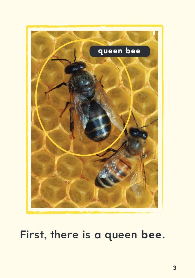 A Bee's Life (TIME FOR KIDS Nonfiction Readers),Used