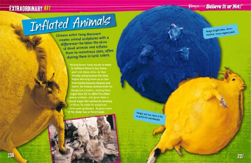 Ripley's Believe It Or Not: Completely Awesome (8) (CURIO),Used