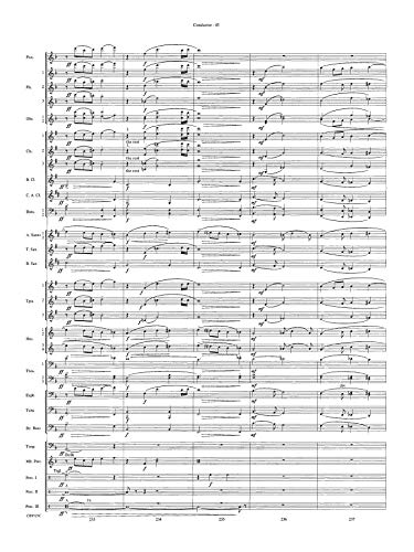 The Wizard of Oz (Medley) (Pop Symphonic Band),Used