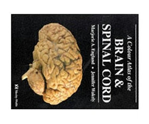 A Colour Atlas of The Brain and Spinal Cord,New