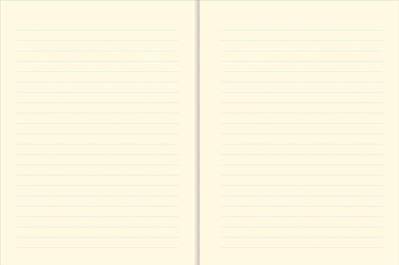 Travel Life Journal (Diary, Notebook),Used