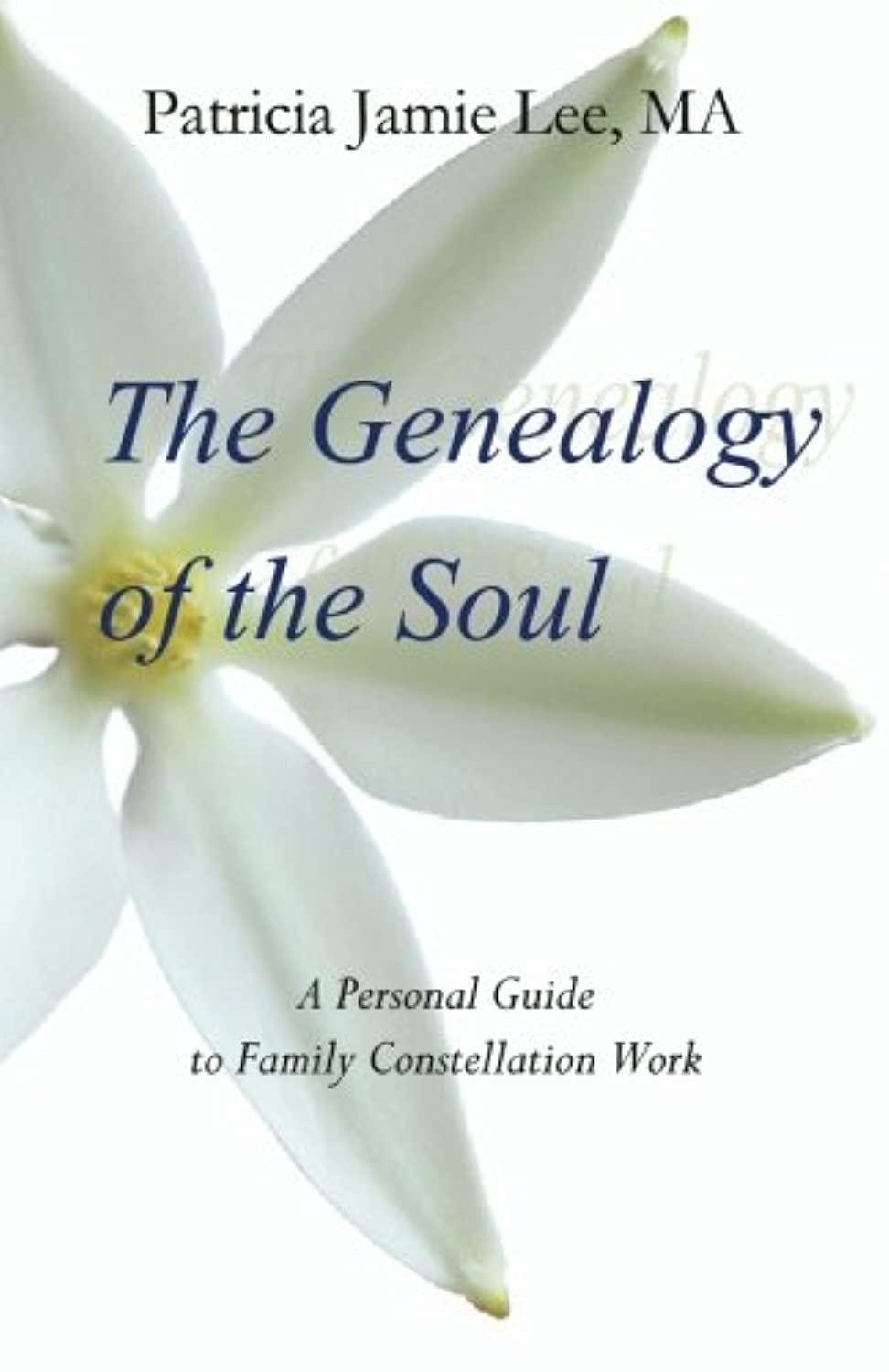 The Genealogy of the Soul: A Personal Guide to Family Constellation Work,Used