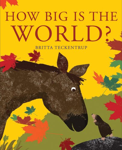 How Big Is The World?