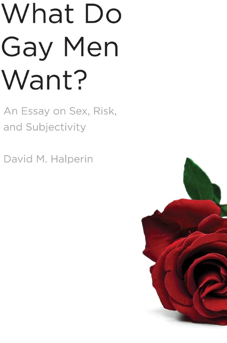 What Do Gay Men Want?: An Essay On Sex, Risk, And Subjectivity