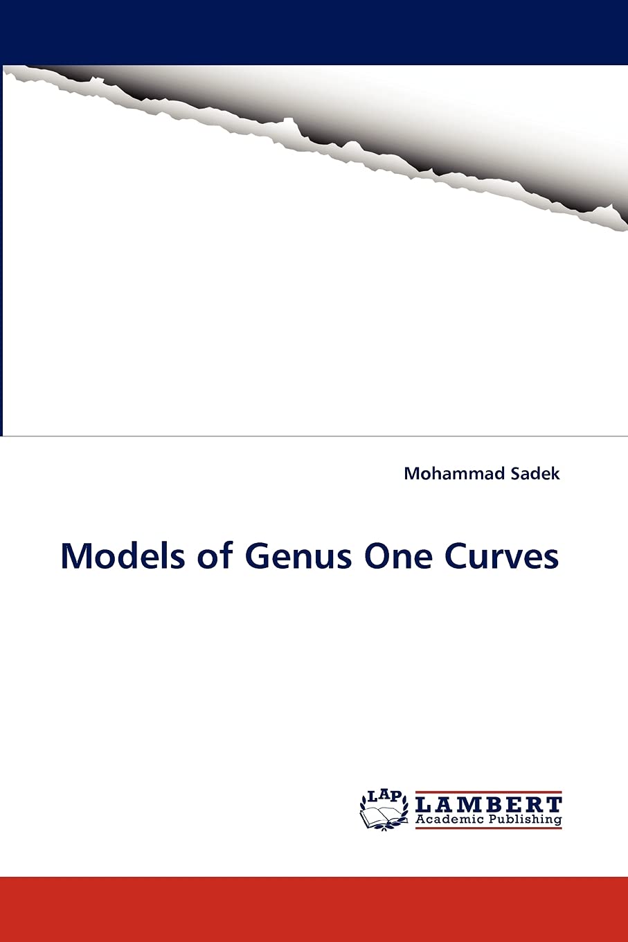Models of Genus One Curves,Used