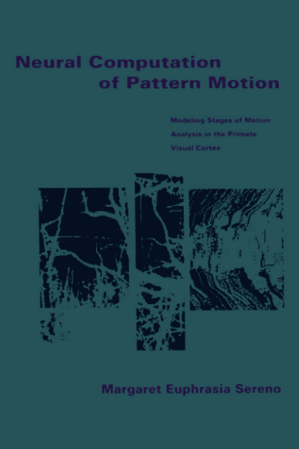 Neural Computation Of Pattern Motion: Modeling Stages Of Motion Analysis In The Primate Visual Cortex (Bradford Books)