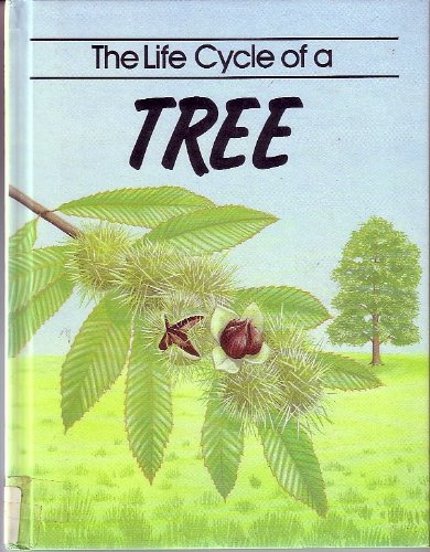 The Life Cycle of a Tree: John Williams ; Illustrated by Jackie Harland (Life Cycles),Used