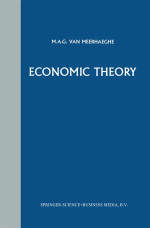 Economic Theory: A Critics Companion,Used