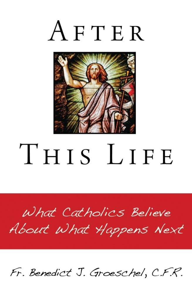 After This Life: What Catholics Believe About What Happens Next,Used