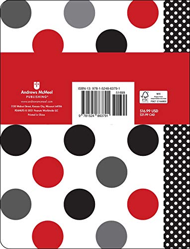 Peanuts 16Month September 2021December 2022 Monthly/Weekly Planner Calendar,Used