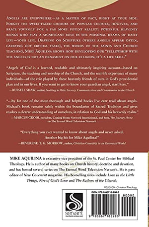 Angels of God: The Bible, the Church and the Heavenly Hosts,Used