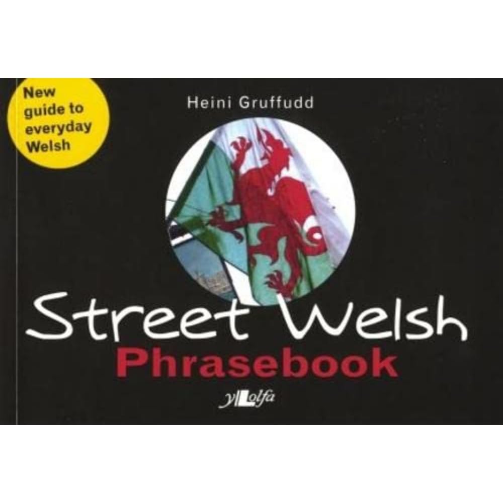 Street Welsh: A Phrasebook,Used