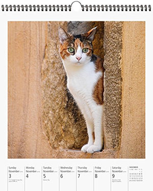 Cat PageAWeek Gallery Wall Calendar 2019,New