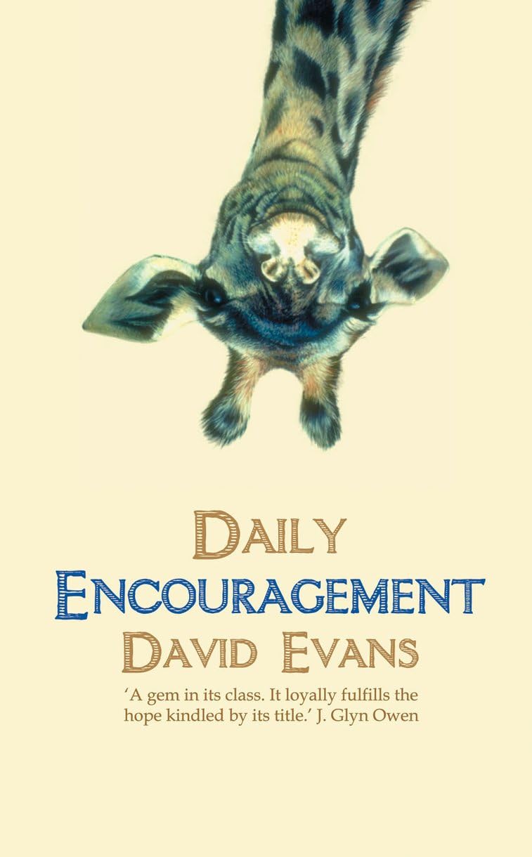 Daily Encouragement,Used