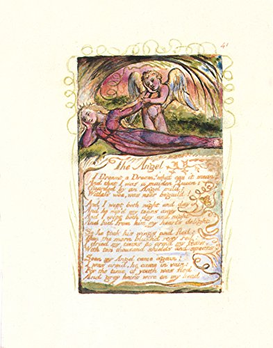 Blake's Songs of Innocence and Experience (Cover may vary),New