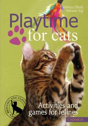 Playtime For Cats: Activities And Games For Felines