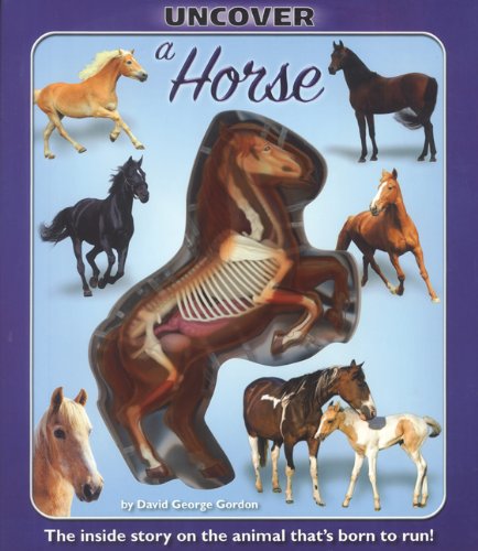 Uncover a Horse (Uncover Books),New