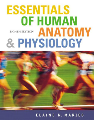 Essentials Of Human Anatomy & Physiology: Essentials Of Human Anatomy And Physiology,Used