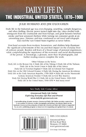 Daily Life In The Industrial United States, 18701900-used