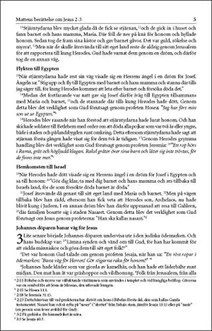 Levande Bibeln, Swedish New Testament, Paperback: Nya Testamentet (Swedish Edition),Used