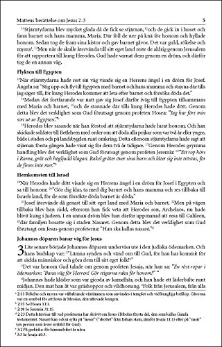 Levande Bibeln, Swedish New Testament, Paperback: Nya Testamentet (Swedish Edition),Used