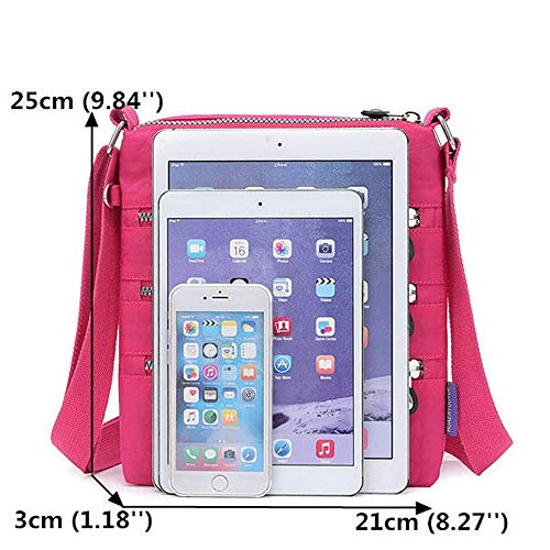 Microbiology: An Evolving Science,New