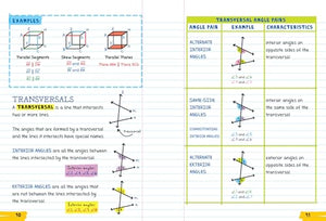 Everything You Need To Ace Geometry In One Big Fat Notebook (Big Fat Notebooks)