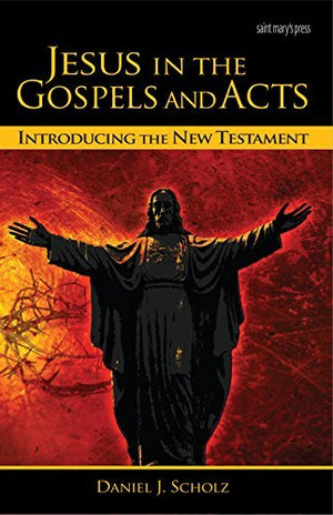 Jesus in the Gospels and Acts: Introducing the New Testament,Used