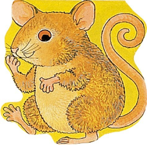 Great Pal Mouse,Used