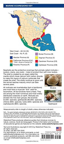Seashells: A Folding Pocket Guide to Familiar North American Species (A Pocket Naturalist Guide),Used