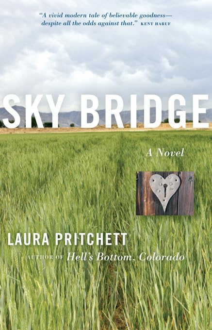 Sky Bridge: A Novel,Used