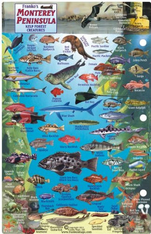 Monterey Peninsula Dive Map & Reef Creatures Guide Franko Maps Laminated Fish Card by Franko Maps Ltd. (20060601),Used