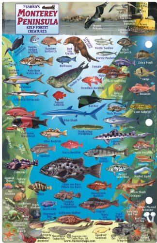 Monterey Peninsula Dive Map & Reef Creatures Guide Franko Maps Laminated Fish Card by Franko Maps Ltd. (20060601),Used