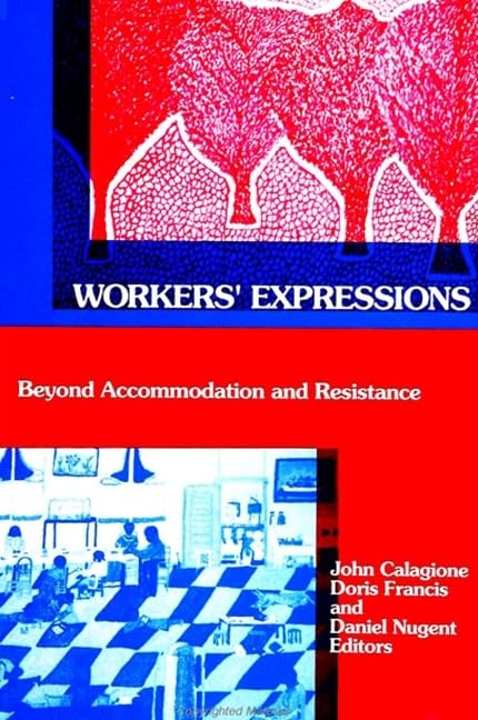 Workers' Expressions: Beyond Accommodation and Resistance (Suny the Anthropology of Work),Used