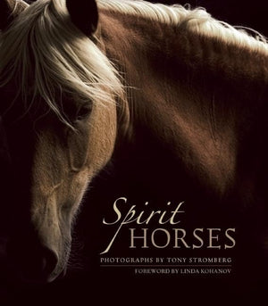 Spirit Horses,Used