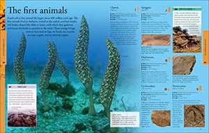 Dinosaurs: A Visual Encyclopedia, 2nd Edition (DK Children's Visual Encyclopedias),New