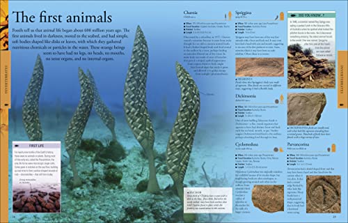 Dinosaurs: A Visual Encyclopedia, 2nd Edition (DK Children's Visual Encyclopedias),New