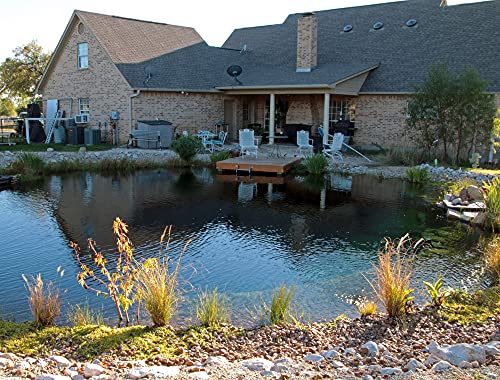 How To Build A Natural Swimming Pool