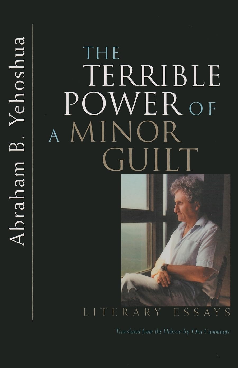 Terrible Power of a Minor Guilt: Literary Essays,New
