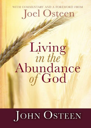 Living in the Abundance of God,New
