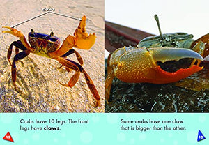 Crabs (Blastoff! Readers: Oceans Alive),Used