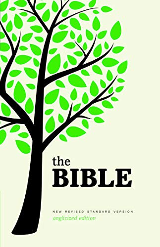 New Revised Standard Version Bible,Used