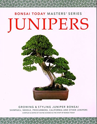 Junipers: Growing & Styling Juniper Bonsai (Bonsai Today Masters Series),Used