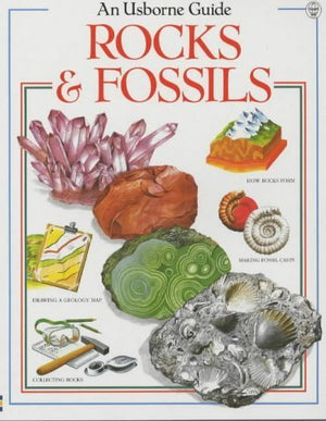 Rocks and Fossils,Used
