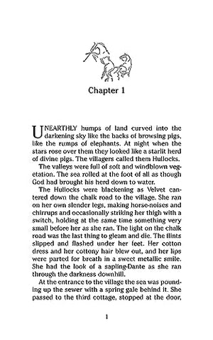 National Velvet (Dover Children's Evergreen Classics),Used