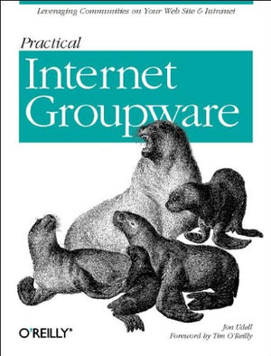 Practical Internet Groupware,Used